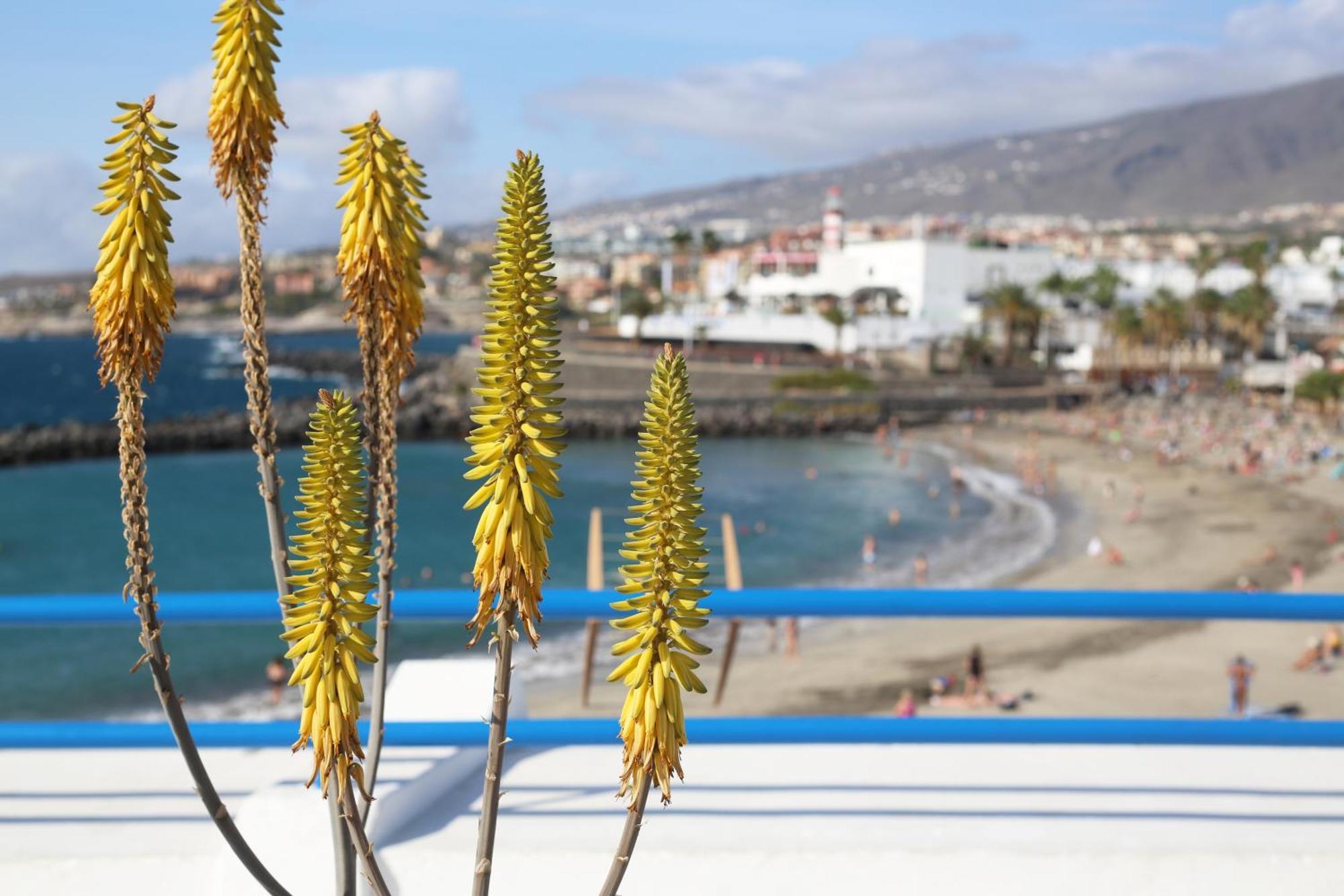 Luxury Romantic Ocean View Costa Adeje  Zewnętrze zdjęcie
